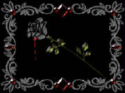 a_gothic_rose_wallpaper_s4hvz.jpg