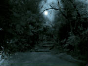 enter-our-village-witches-coven-of-midnight-24631999-1024-768.jpg